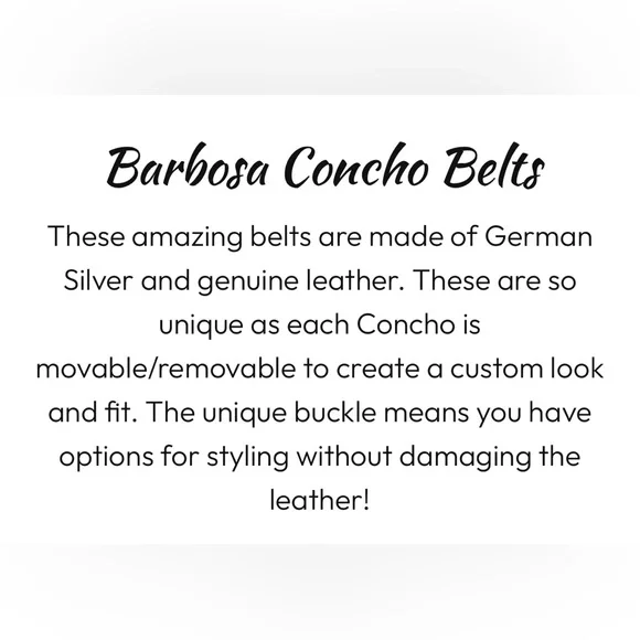 Rodeo Quincy - Barbosa Thunderbird Silver and Brown Concho Belt display picture 2